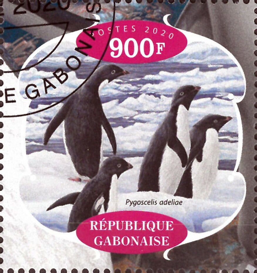 Penguins