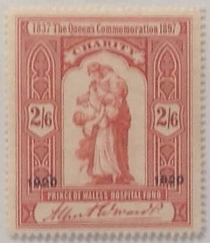 Prince of Wales's Hospital Fund - Queen's Commemoration