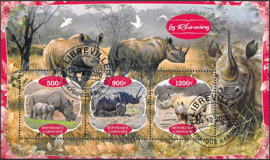 Rhinoceroses