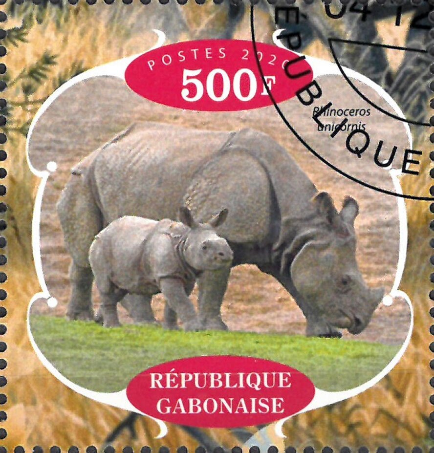Rhinoceroses