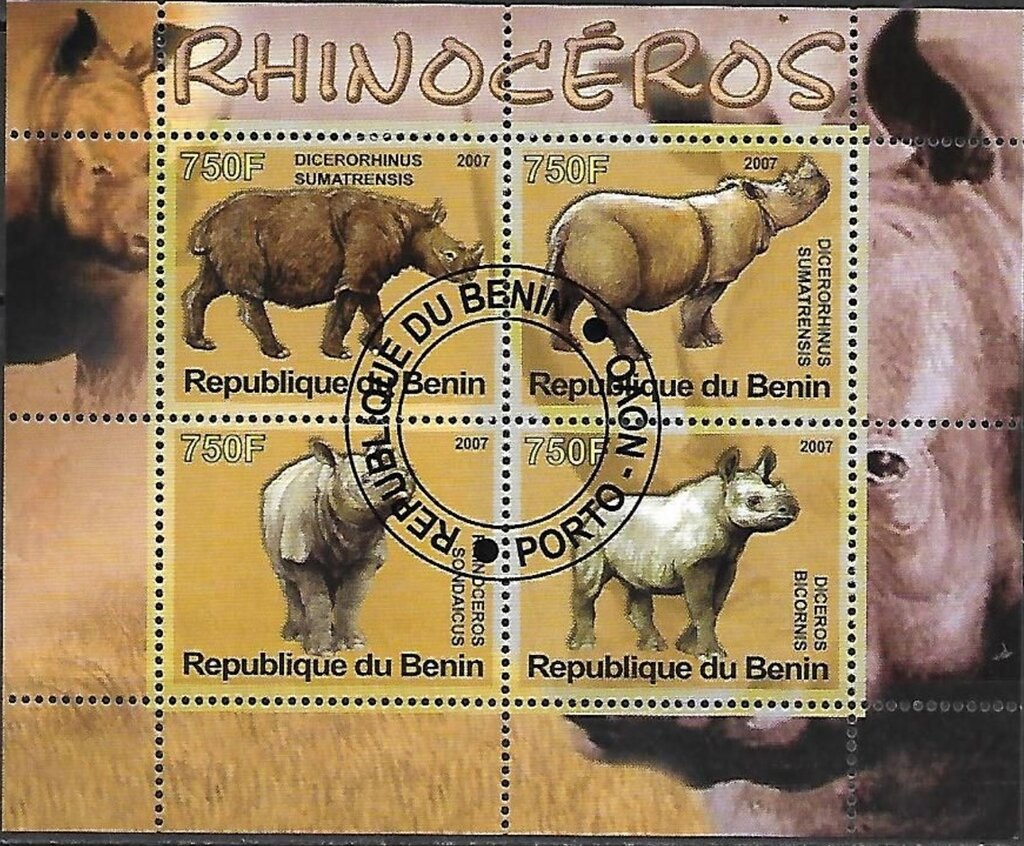 Rhinoceroses