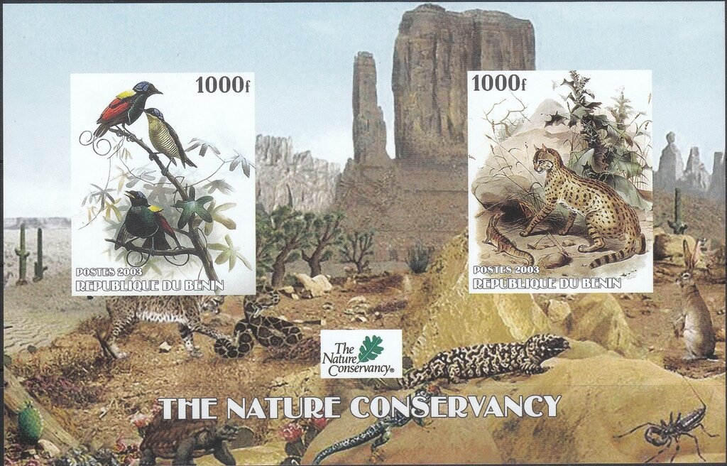 The Nature Conservancy