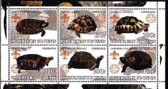 Turtles