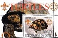 Souvenir Sheet, Turtles, Cinderellas,  , Animals (Fauna), Turtles