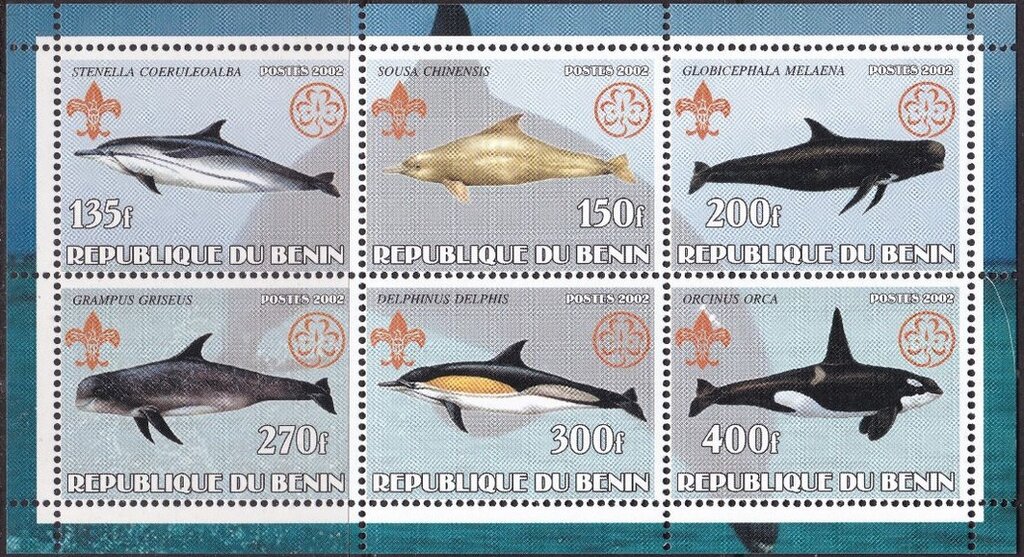 Whales