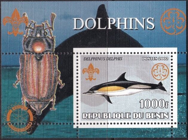 Whales