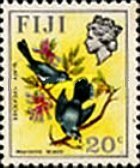 Slaty Flycatcher (Mayrornis lessoni)