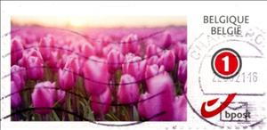 Stamp, Floral Beauty, Personalized and Private Mail Stamps,  , Flowers, Plants (Flora), Tulips