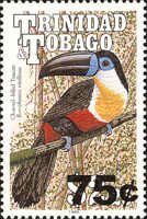 Channel-billed Toucan (Ramphastos vitellinus)