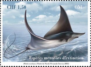 Pygmy Devil Ray (Mobula munkiana)