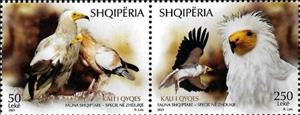 Se-tenant, Egyptian vulture (Neophron percnopterus), Albania,  , Animals (Fauna), Birds, Birds of Prey, Vultures