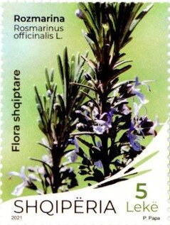 Stamp, Rosmarinus officinalis L., Albania,  , Medicines, Plants (Flora)