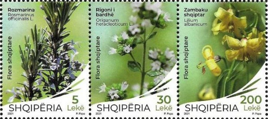 Rosmarinus officinalis L.