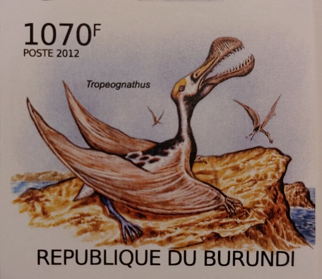 Tropeognathus