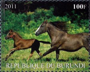 Stamp, Horses, Burundi- Illegal Stamps,  , Animals (Fauna), Horses