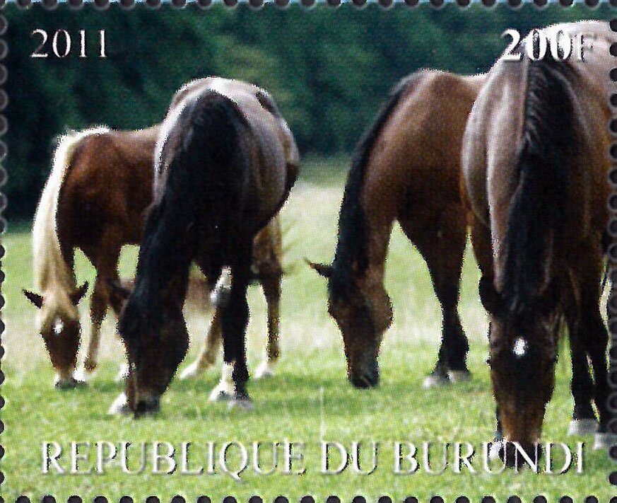 Horses