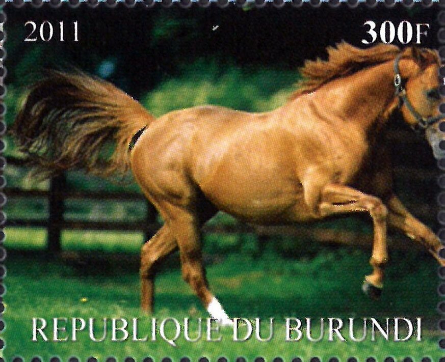 Horses