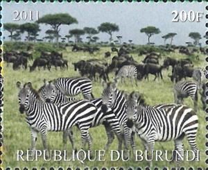 Stamp, Zebras, Burundi- Illegal Stamps,  , Animals (Fauna), Zebras