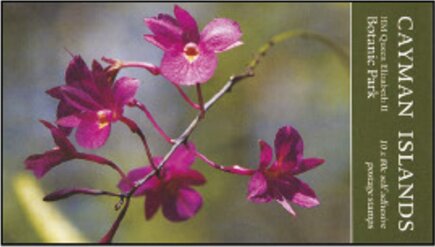 Orchids
