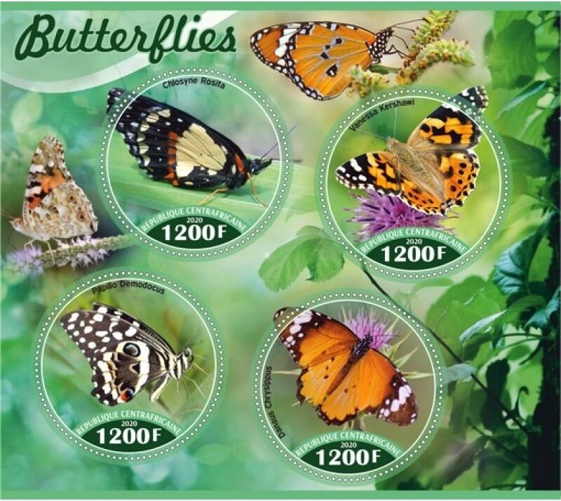 Fauna Butterflies