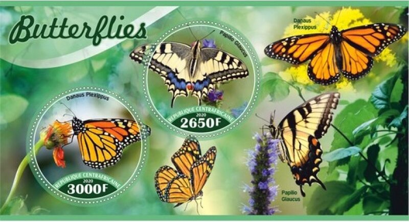 Fauna Butterflies