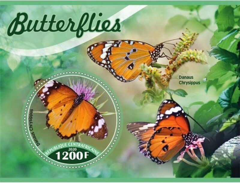 Fauna Butterflies