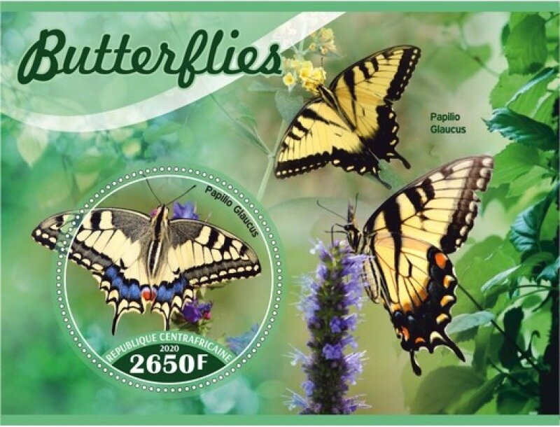 Fauna Butterflies