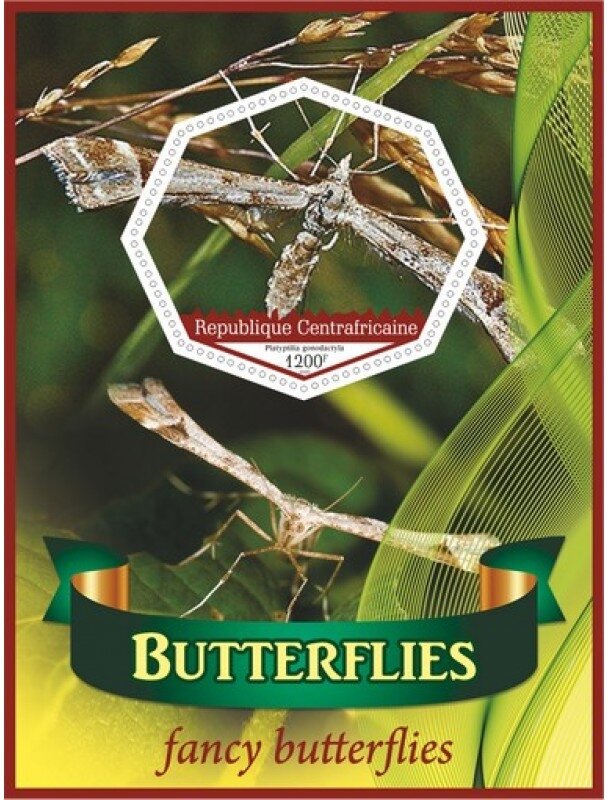 Fauna Butterflies I