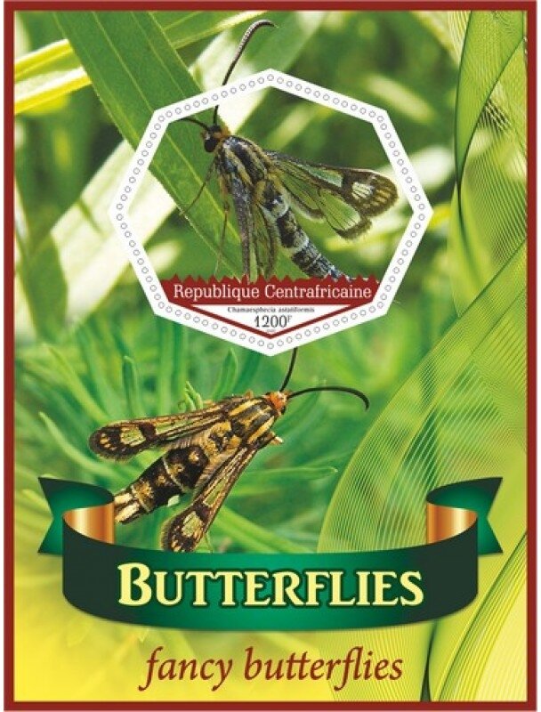 Fauna Butterflies I
