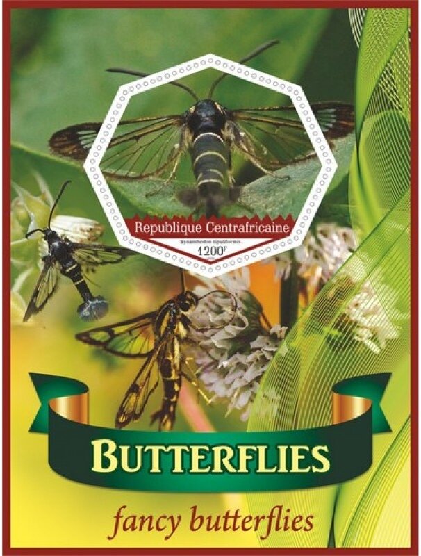 Fauna Butterflies I