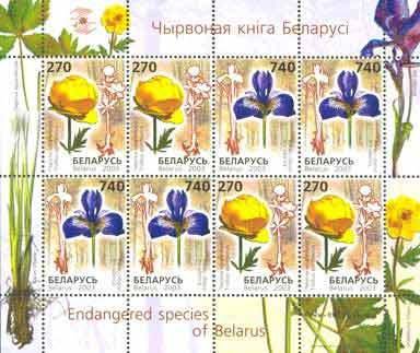 Flowers in the Red Book.