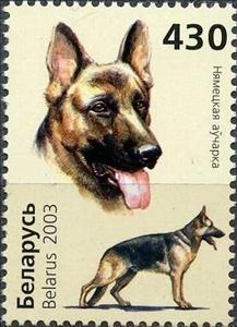 Stamp, German Shepherd (Canis lupus familiaris), Belarus,  , Dogs, Animals (Fauna)