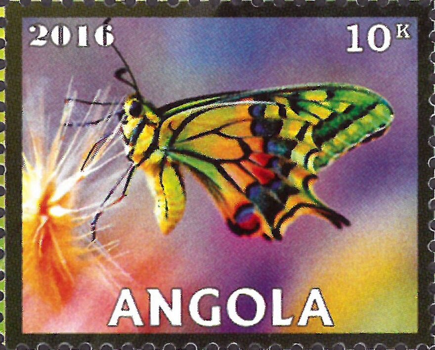 Butterflies