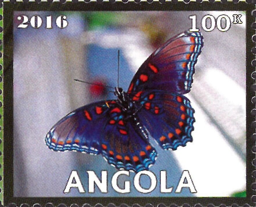 Butterflies