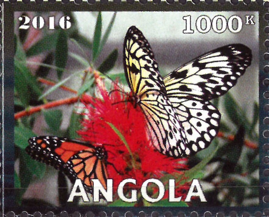 Butterflies