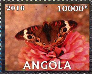 Stamp, Butterflies, Cinderellas,  , Animals (Fauna), Butterflies, Insects