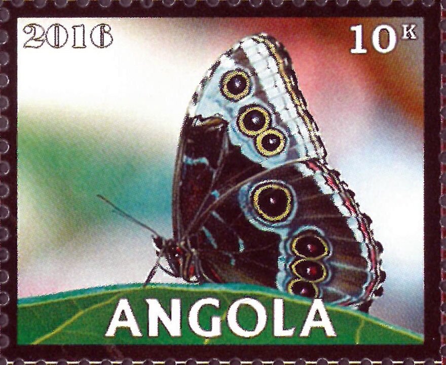 Butterflies