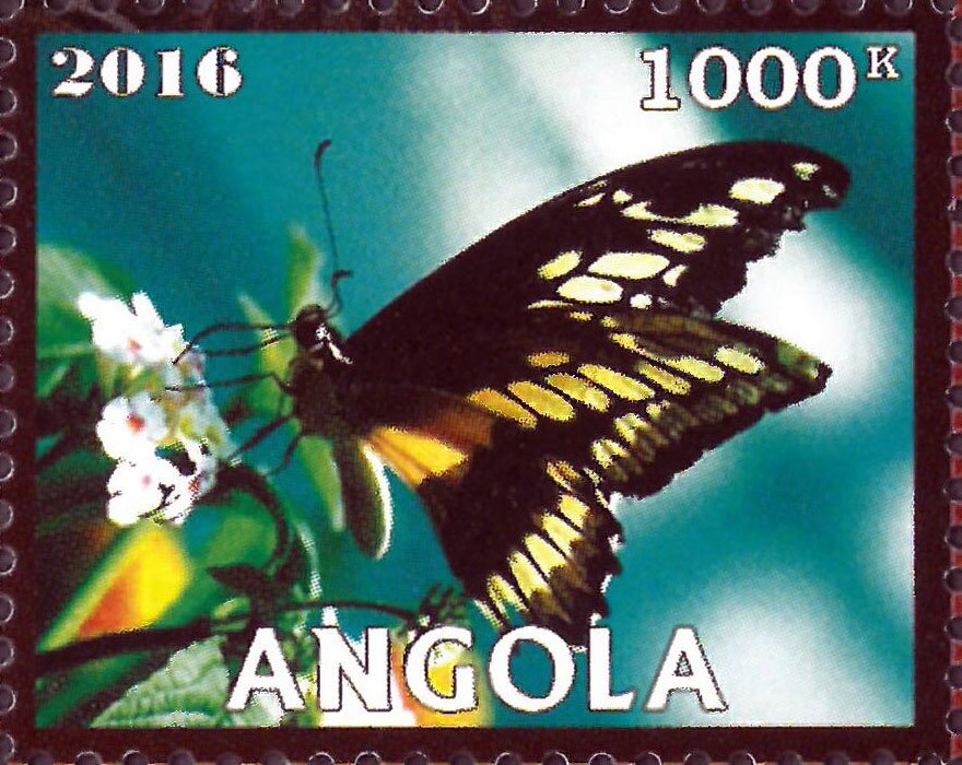Butterflies