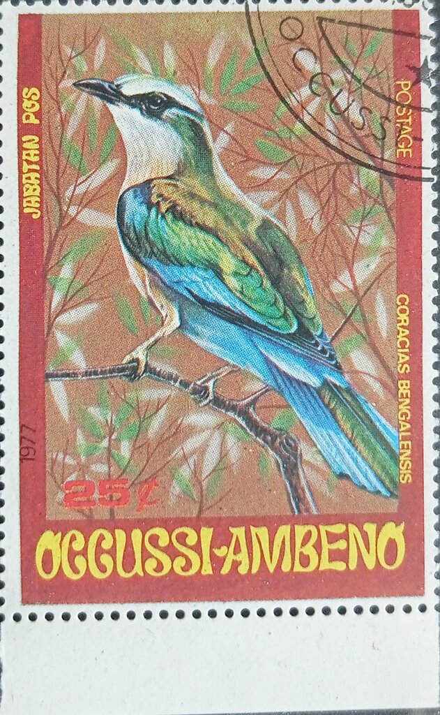 Coracias Bengalensis