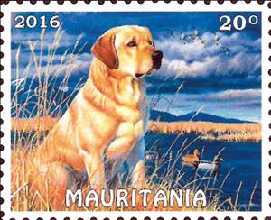 Stamp, Dogs and Cats, Cinderellas,  , Dogs