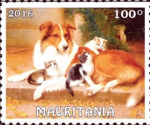 Stamp, Dogs and Cats, Cinderellas,  , Dogs
