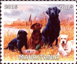 Stamp, Dogs and Cats, Cinderellas,  , Dogs