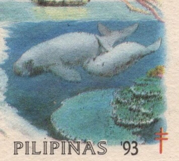 Dugong