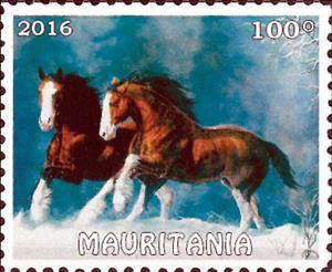 Stamp, Horses, Cinderellas,  , Horses