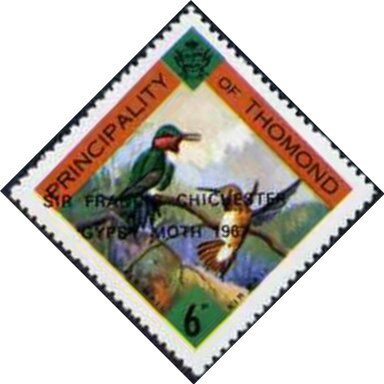 Hummingbirds in tree - Sir Francis Chichester
