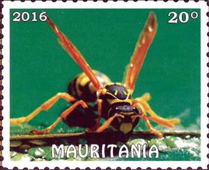 Stamp, Insects, Cinderellas,  , Insects