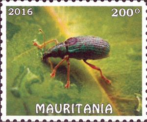 Stamp, Insects, Cinderellas,  , Insects
