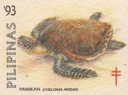 Pawikan