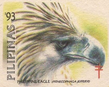 Philippine Eagle