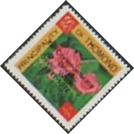 Stamp, Pink roses - Royal Silver Wedding, Cinderellas,  , Anniversaries and Jubilees, Flowers, Plants (Flora), Roses, Royalty, Weddings